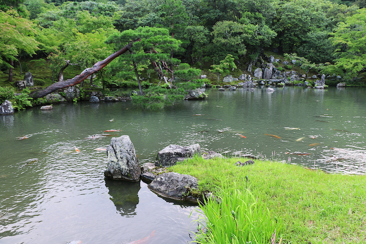 嵐山の風景
